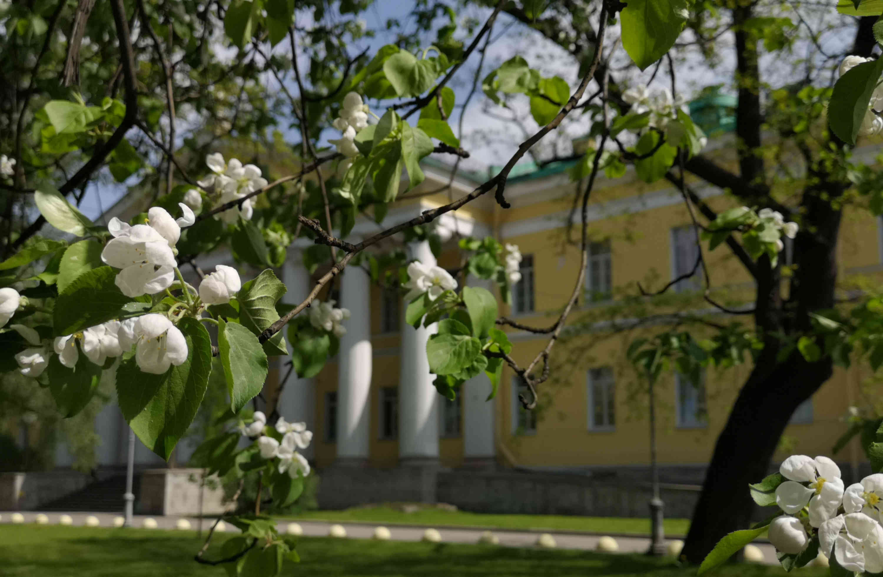 Мариинская больница поздравляет всех с праздников Весны и Труда!