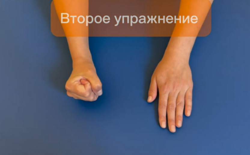 Всемирный день мозга: как сохранить остроту ума и укрепить нейронные связи